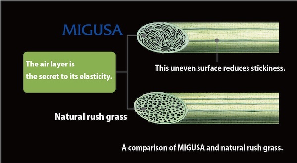 Biomimicry Design